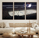 Honda Center California Anaheim Ducks Hockey Stadium Wall