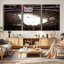 PNC Arena Raleigh North Carolina Hurricanes Hockey Stadium