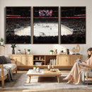 T Mobile Arena Paradise Nevada Vegas Golden Knights Ice