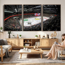 Vaudoise Lausanne Ice Hockey Arena Stadium Wall Art Canvas,