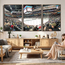 Xcel Energy Center St Paul Minnesota Wild Ice Hockey Stadium