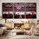Carolina Hurricanes Ice Hockey Stadium Wall Art, Carolina