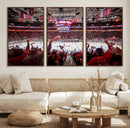 Carolina Hurricanes Ice Hockey Stadium Wall Art, Carolina