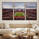 Florida Tampa Raymond James Stadium Wall Art Canvas Print -