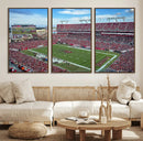 Florida Tampa Raymond James Stadium Wall Art Canvas Print -
