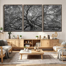 Majestic Angel Oak Tree Black and White Canvas Print – Multi by MyGreatCanvas | Canvas Wall Art Prints | Photo Prints & Wall Decor