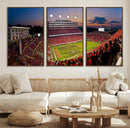 NC State Wolfpack Football Team Print - Raleigh