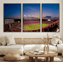 NC State Wolfpack Football Team Print - Raleigh by MyGreatCanvas | Canvas Wall Art Prints | Photo Prints & Wall Decor