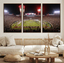 Framed Florida State Seminoles Football Team Print -