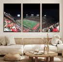 Houston Cougars Football Team Print - Houston TDECU Stadium by MyGreatCanvas | Canvas Wall Art Prints | Photo Prints & Wall Decor
