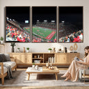 Houston Cougars Football Team Print - Houston TDECU Stadium