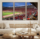 Wisconsin Badgers Football Team Print - Madison Camp Randall by MyGreatCanvas | Canvas Wall Art Prints | Photo Prints & Wall Decor