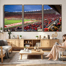 Wisconsin Badgers Football Team Print - Madison Camp Randall
