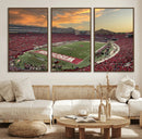 Camp Randall Stadium Wisconsin Badgers Large Wall Art Canvas
