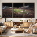 Wisconsin Badgers Football Team Print - Madison Camp Randall