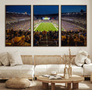 Pittsburgh Panthers Football Team Print - Pittsburgh