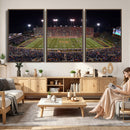 Demon Deacons Print Canvas, Football Team Print -