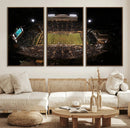 Wake Forest University Demon Deacons Canvas Printi, Football