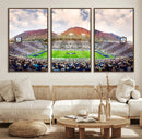 Brigham Young University Cougars Football Team Print - Provo