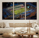 University of North Texas Mean Green Football Artwork,