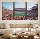Framed Texas Memorial Stadium Canvas, University of Texas