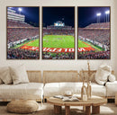 Wolfpack Football Team Print - Raleigh Carter-Finley Stadium