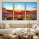 North Carolina State University Canvas Print, North Carolina