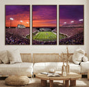 East Carolina University Pirates Football Print Canvas-