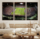 Florida Atlantic University Owls Football Team Print - Boca by MyGreatCanvas | Canvas Wall Art Prints | Photo Prints & Wall Decor