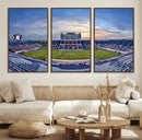 Florida Atlantic University Owls Football Team Print - Boca by MyGreatCanvas | Canvas Wall Art Prints | Photo Prints & Wall Decor