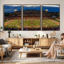 University of Illinois Fighting Illini Football Team Print -