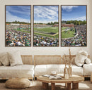 University of Charlotte 49ers Football Team Print - by MyGreatCanvas | Canvas Wall Art Prints | Photo Prints & Wall Decor
