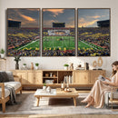 University of Michigan Wolverines Print Canvas, Football