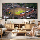 University of Michigan Wolverines Football Team Print - Ann