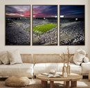 Penn State Nittany Lions Football Team Print - University