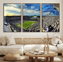 Framed USF Bulls Football Team Print - Tampa Raymond James by MyGreatCanvas | Canvas Wall Art Prints | Photo Prints & Wall Decor