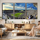 Framed USF Bulls Football Team Print - Tampa Raymond James