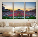 NC State Wolfpack Football Team Print Wall Art - Raleigh