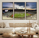 Arizona Wildcats Football Team Print - Tucson Arizona by MyGreatCanvas | Canvas Wall Art Prints | Photo Prints & Wall Decor