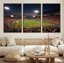 Clemson University Tigers Art Print, Football Team Print -