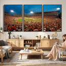 Clemson University Tigers Football Team Print - Clemson