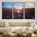 Denver Broncos Football Team Print Canvas- Empower Field at