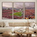 Iowa State University Cyclones Football Team Print - Ames by MyGreatCanvas | Canvas Wall Art Prints | Photo Prints & Wall Decor