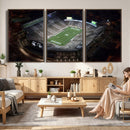 Michigan State Spartans Football Team Print - East Lansing