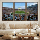 Michigan State Spartans Football Team Art Print - East