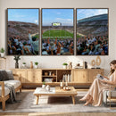 Michigan State Spartans Football Team Art Print - East