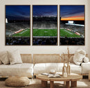 Michigan State Spartans Football Team Print - East Lansing