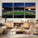 Michigan State Spartans Football Team Print - East Lansing