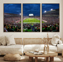 Michigan State Spartans Football Team Print - East Lansing