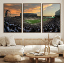 Michigan State Spartans Football Team Print - East Lansing by MyGreatCanvas | Canvas Wall Art Prints | Photo Prints & Wall Decor